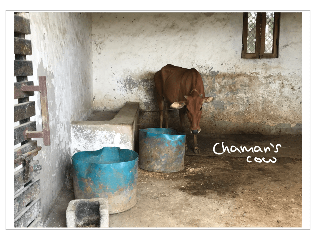 1052D86F-B14E-46EB-AEB9-13E3CA27D19E